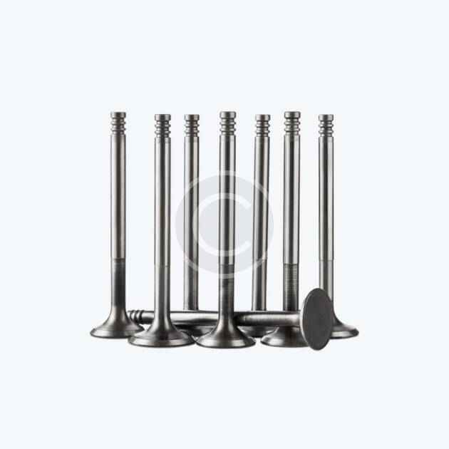 Intake valves (Copy)