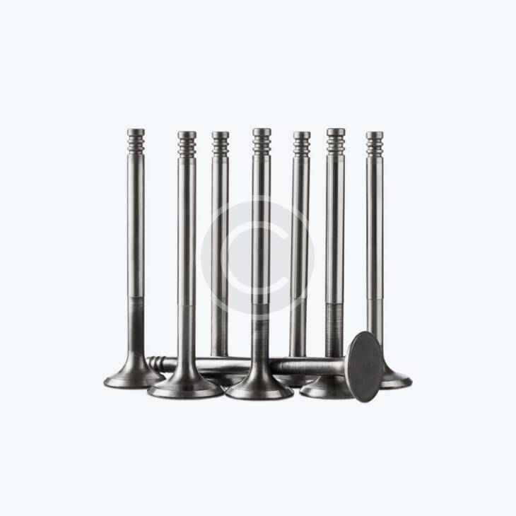 Intake valves (Copy)